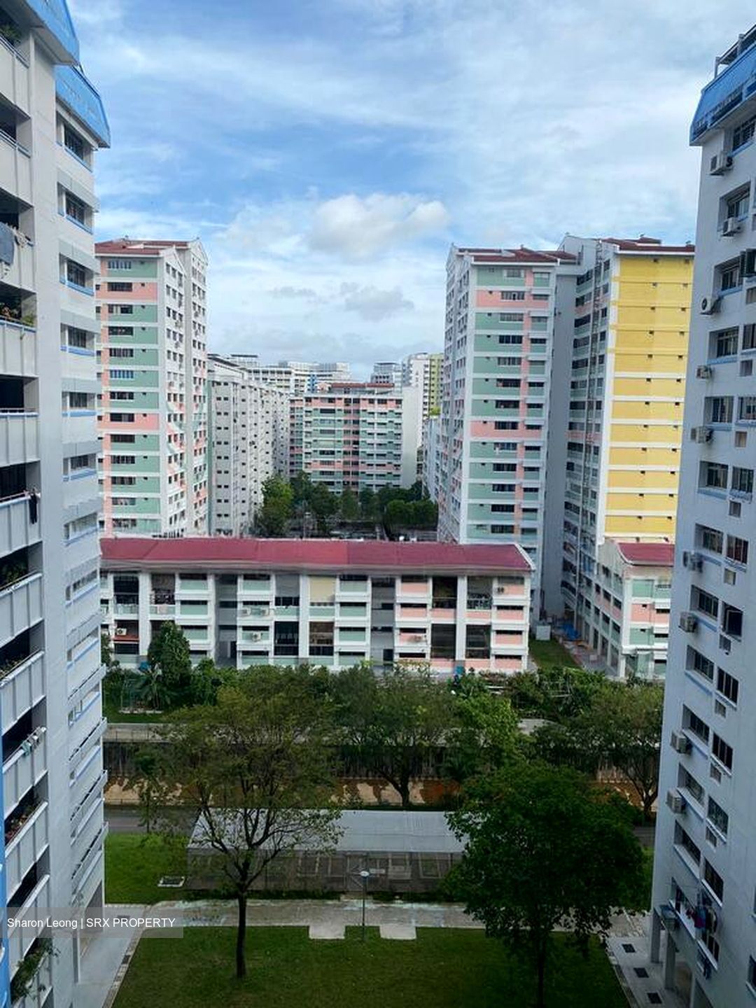 Blk 509 Pangshan Court (Bukit Panjang), HDB 4 Rooms #519828291